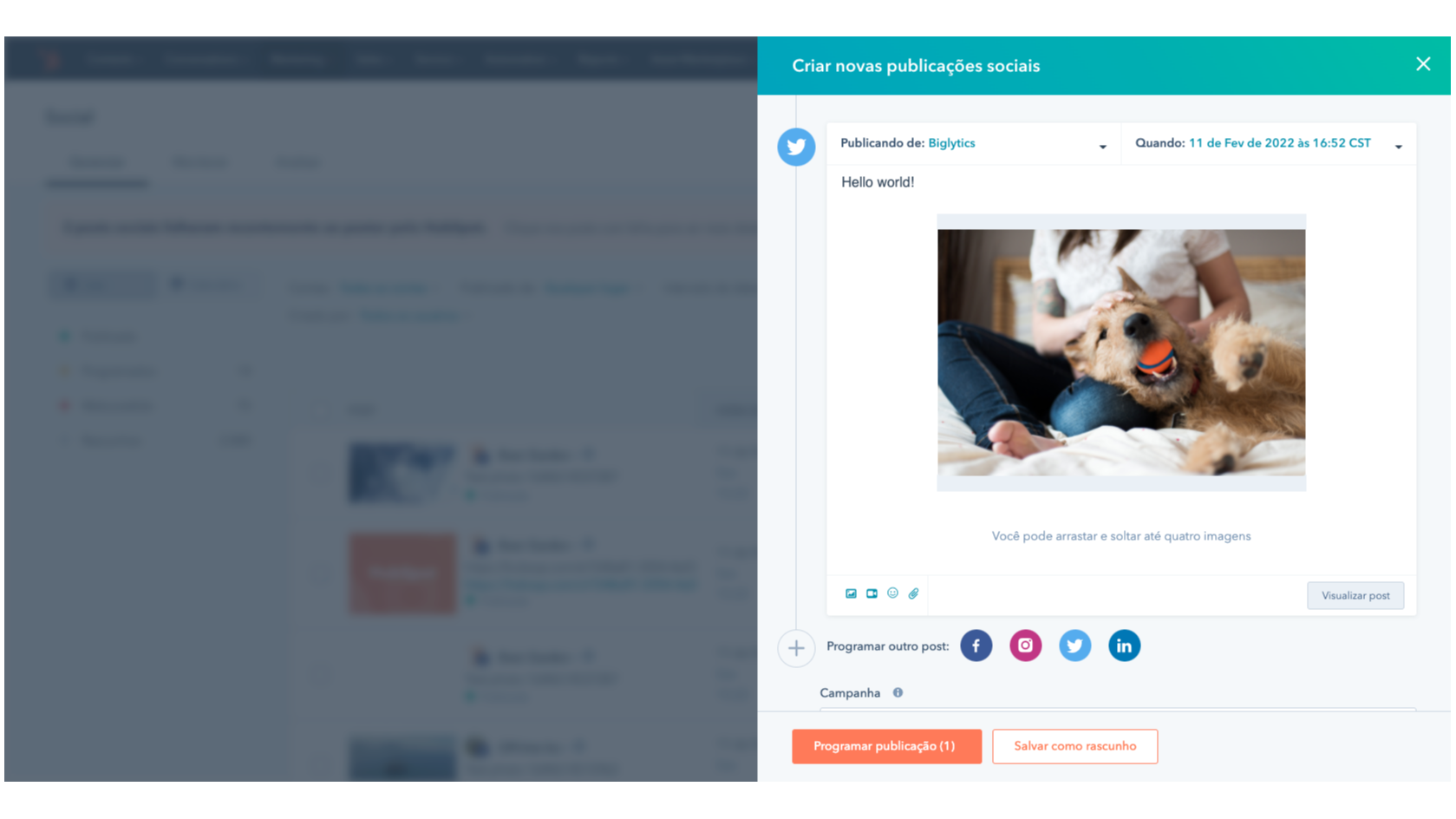 Gerencie sua presença do Twitter diretamente no HubSpot.